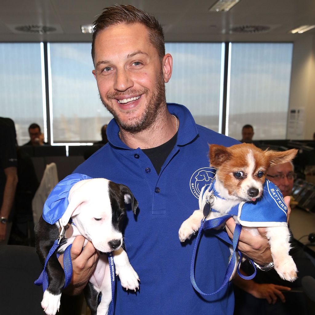 Tom Hardy im September 2016 bei einer Charity-Veranstaltung für Tiere in London