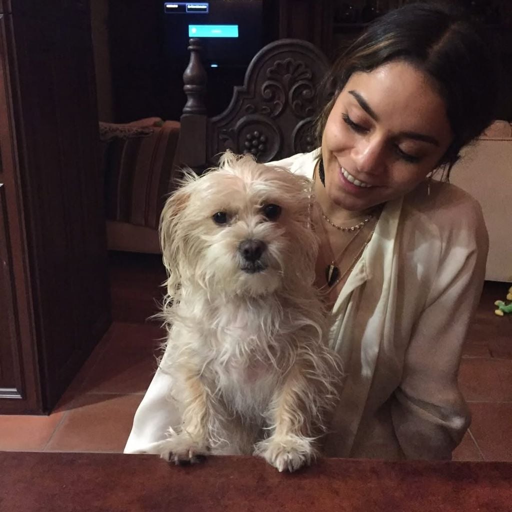 Vanessa Hudgens mit Hündin Darla