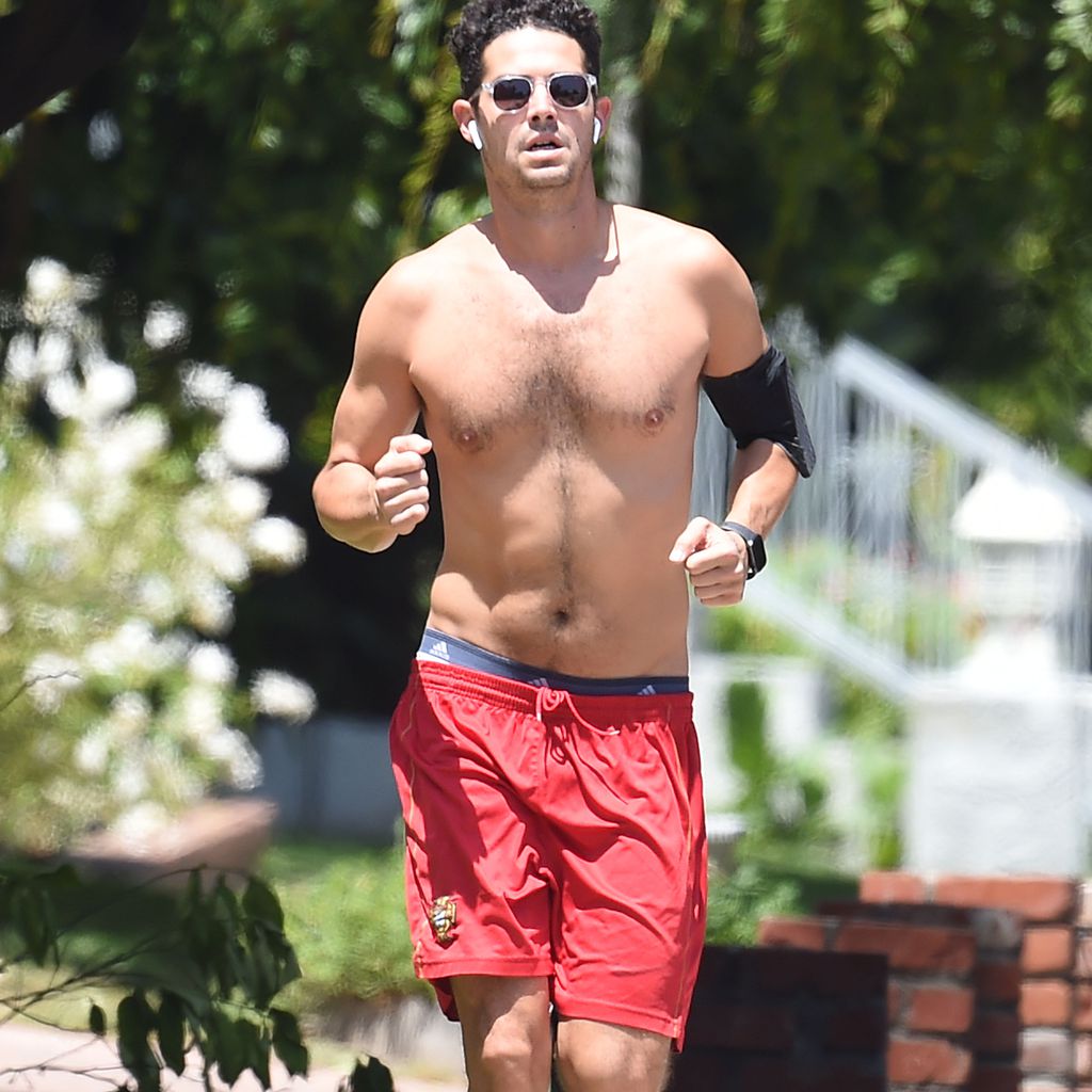 Wells Adams, TV-Bekanntheit