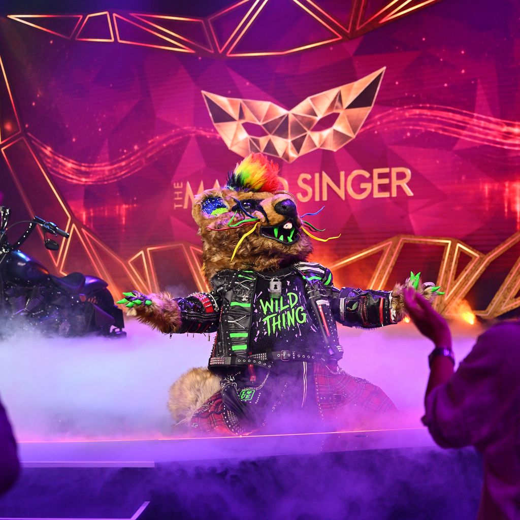 "Wild Thing" performt bei "The Masked Singer", 2026