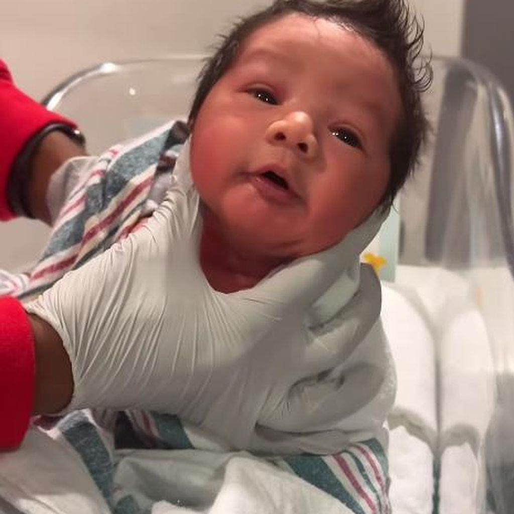 Wren Alexander Stephens