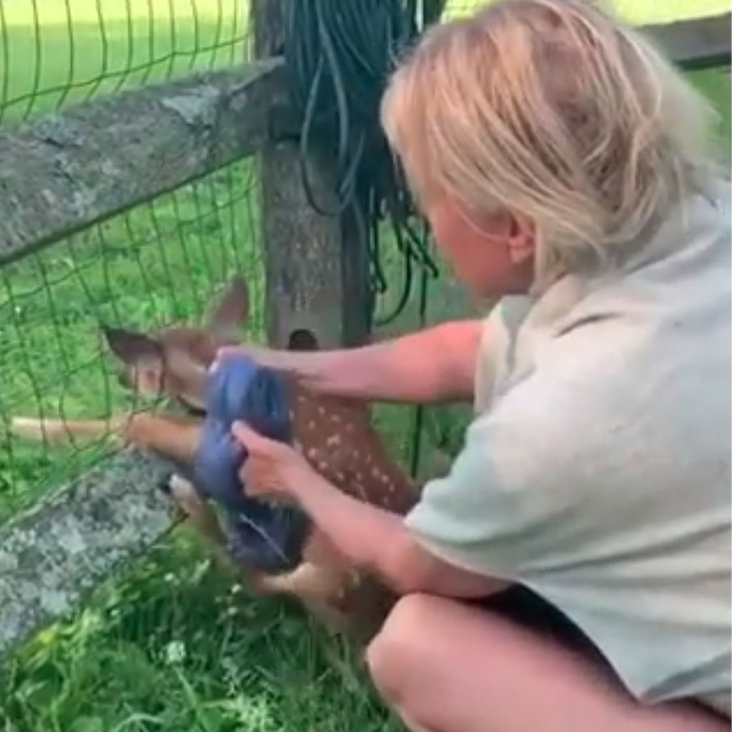 Yolanda Hadid Foster im Juni 2020