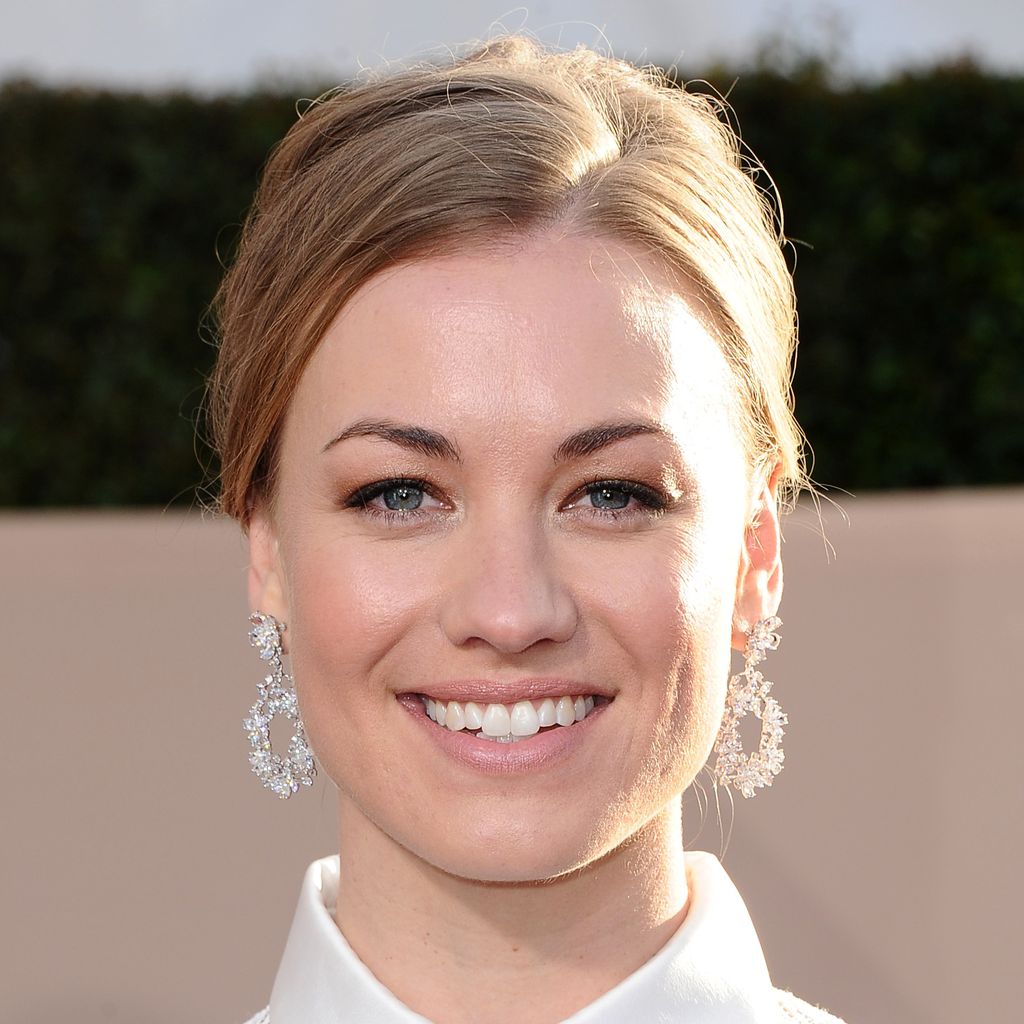 Yvonne Strahovski, TV-Star