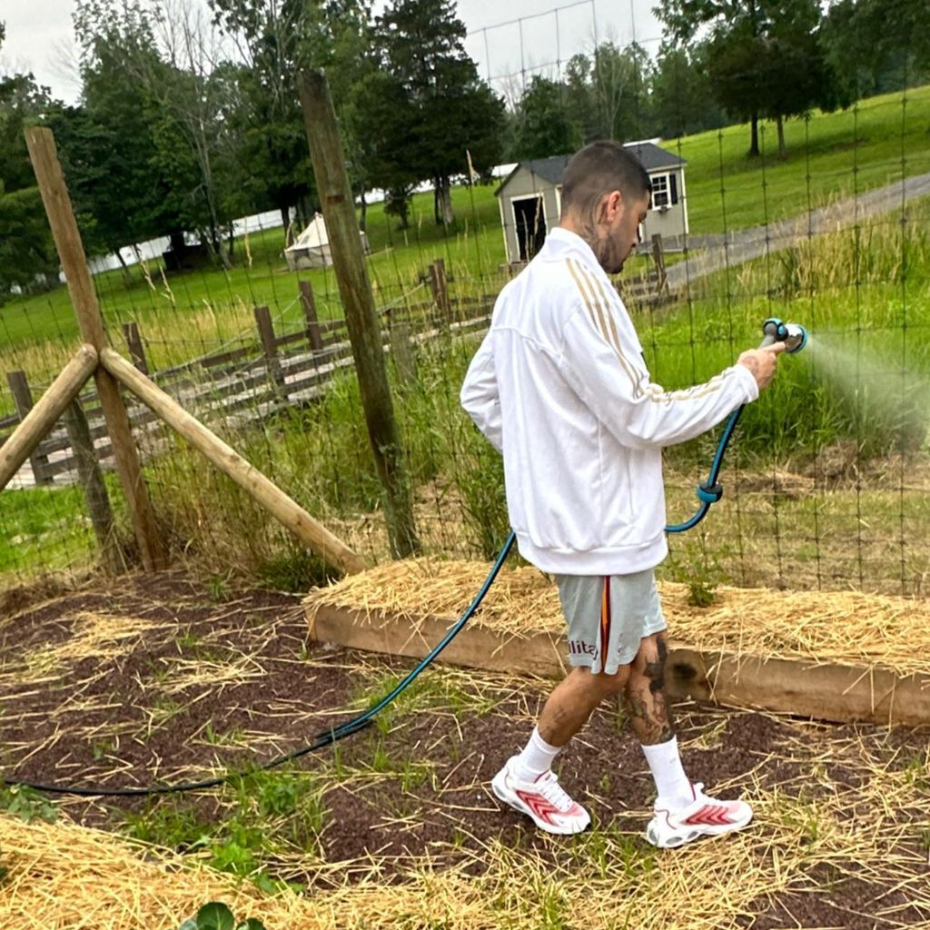 Zayn Malik, Sänger
