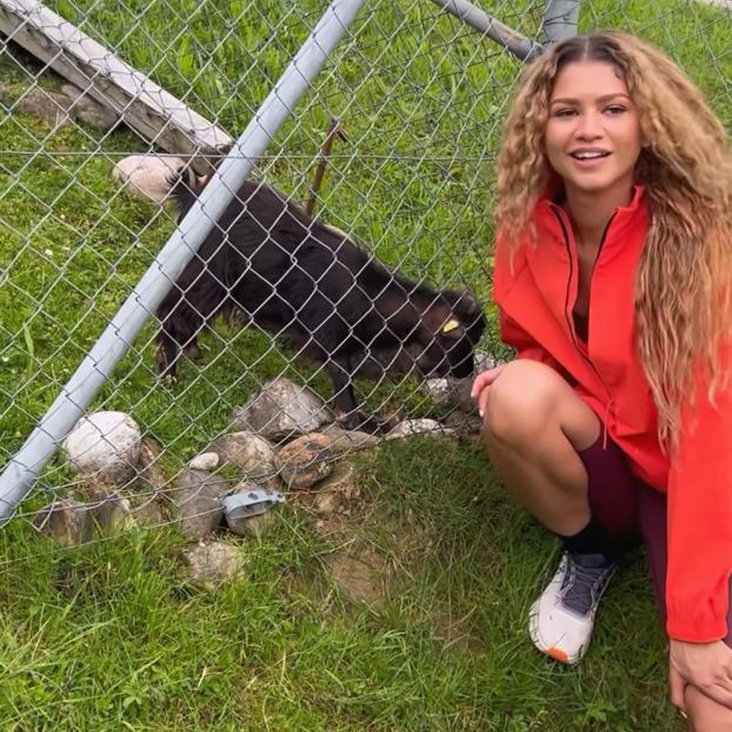 Zendaya im Oktober 2024
