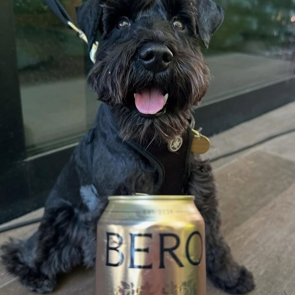 Zendayas Hund Noon posiert auf Instagram mit der Biermarke "Bero" von Tom Holland