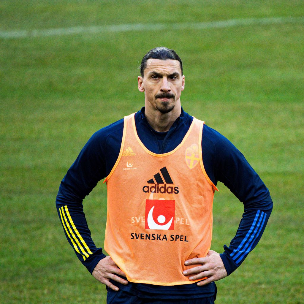 Zlatan Ibrahimović, Profifußballer
