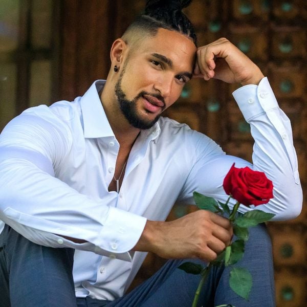 Der Bachelor