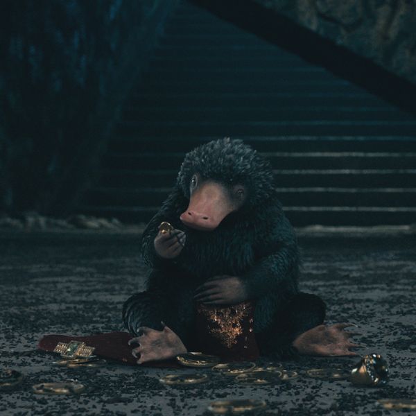 Phantastische Tierwesen
