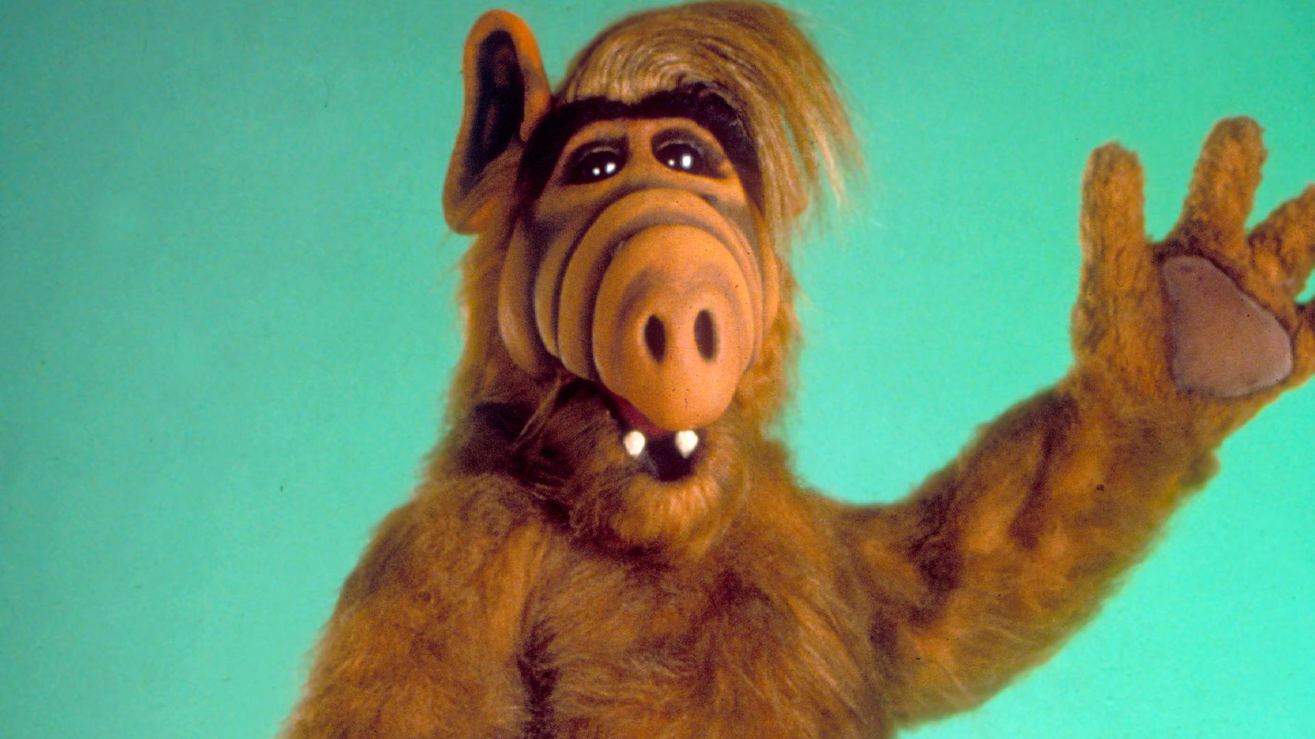 Er spielte den Alien: ALF-Darsteller Michu Meszaros ist tot