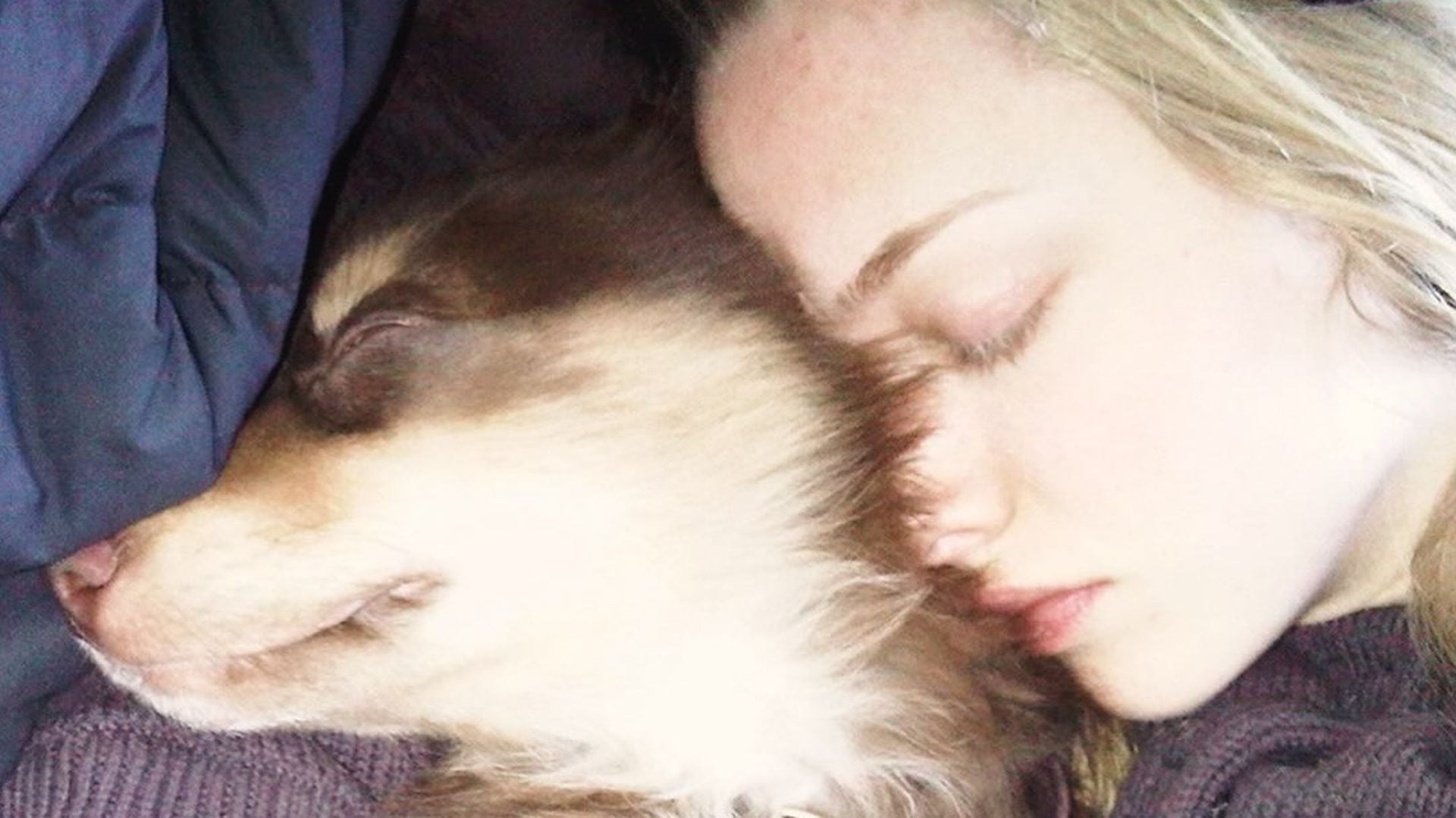 Süße Fotos: Amanda Seyfried trauert um ihren geliebten Hund