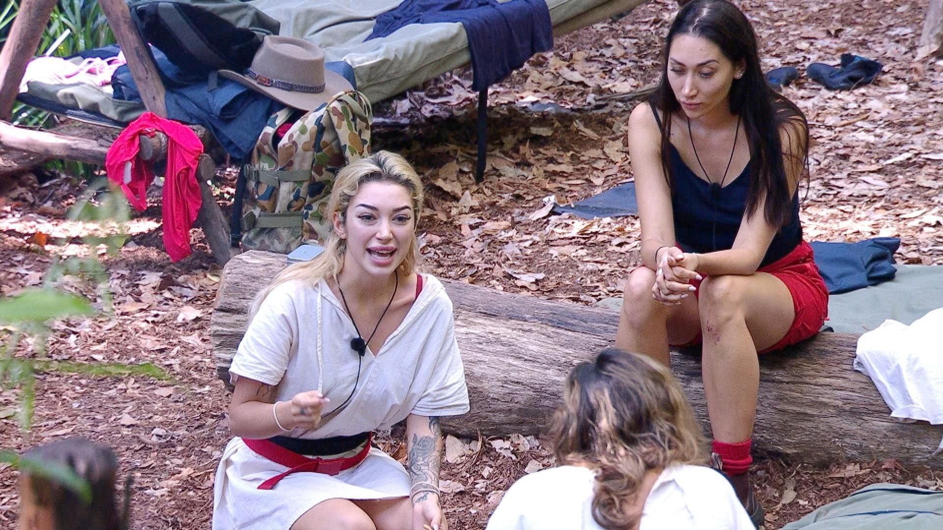 Verweigerte-Pr-fung-Dschungelcamp-Stars-feuern-gegen-Ariel