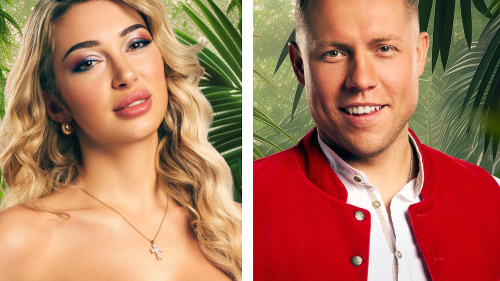 Dschungel-Zoff-Patrick-entsetzt-Ariel-mit-Insektenmord