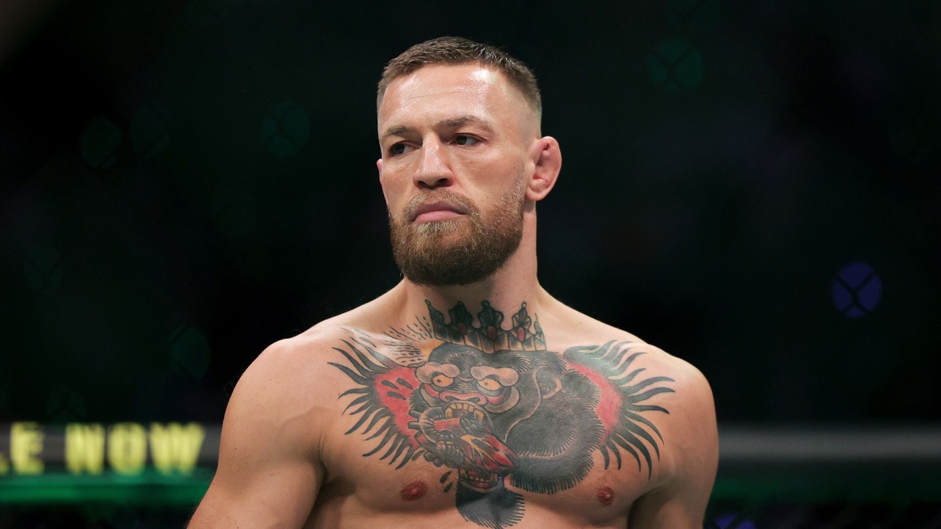 Conor-McGregor-setzt-vor-UFC-Comeback-auf-Enthaltsamkeit