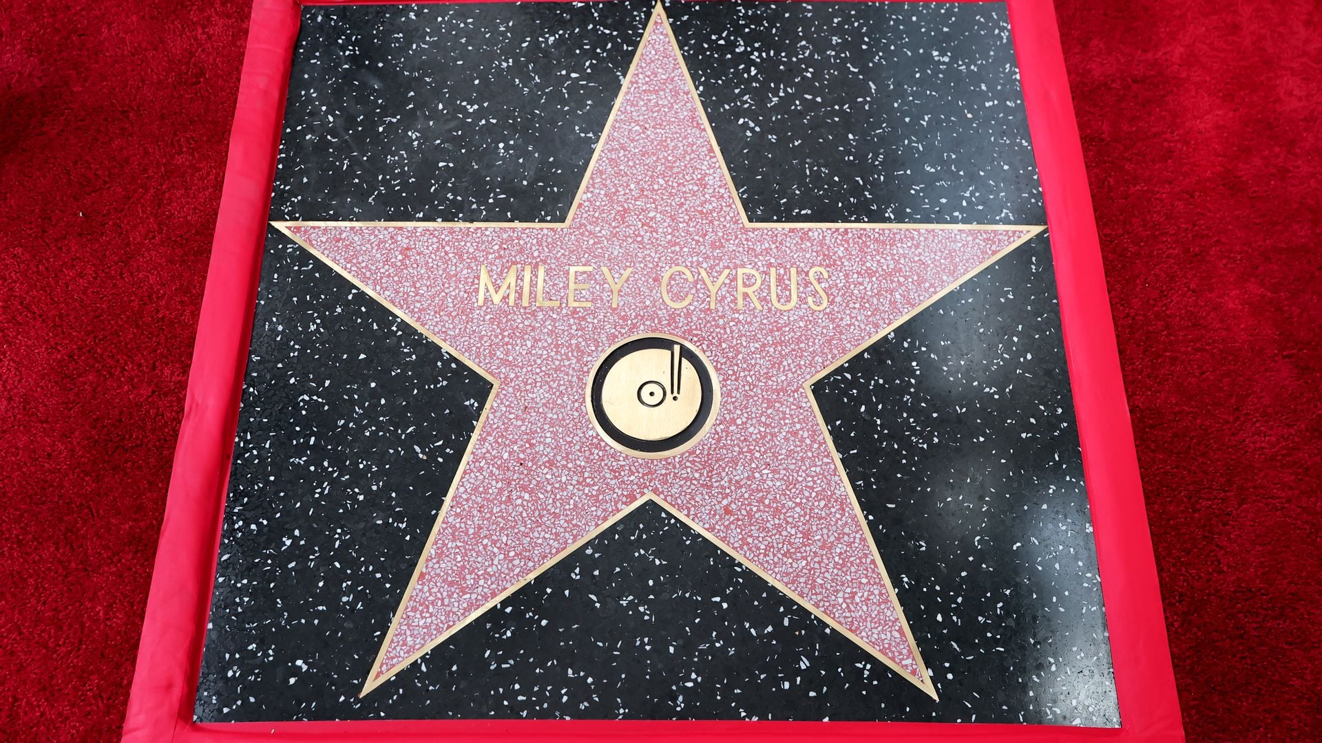 Hollywood-Diese-Stars-holen-sich-2027-Walk-of-Fame-Stern