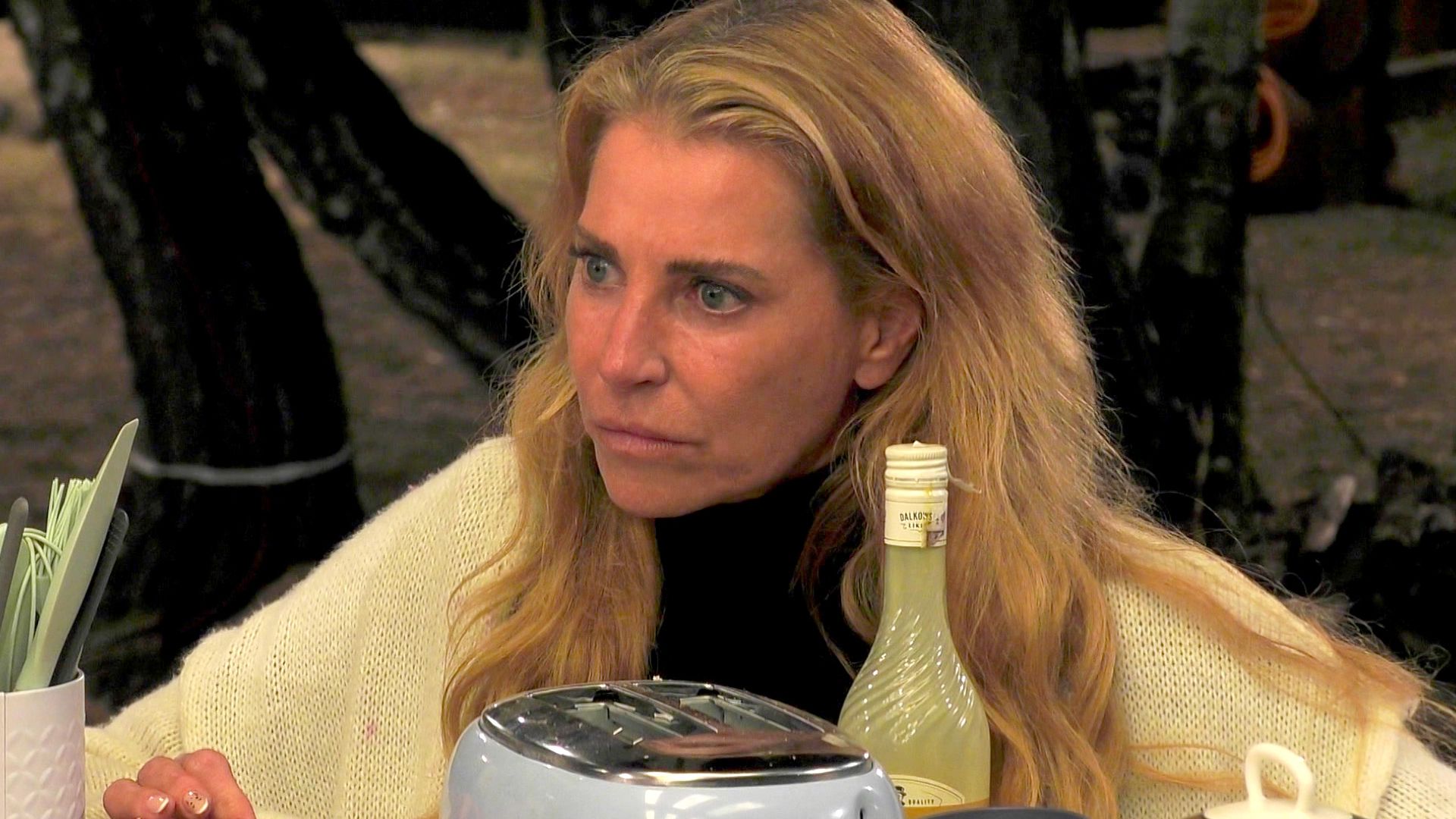 Giulia-Siegel-leitet-rechtliche-Schritte-gegen-Cosimo-ein