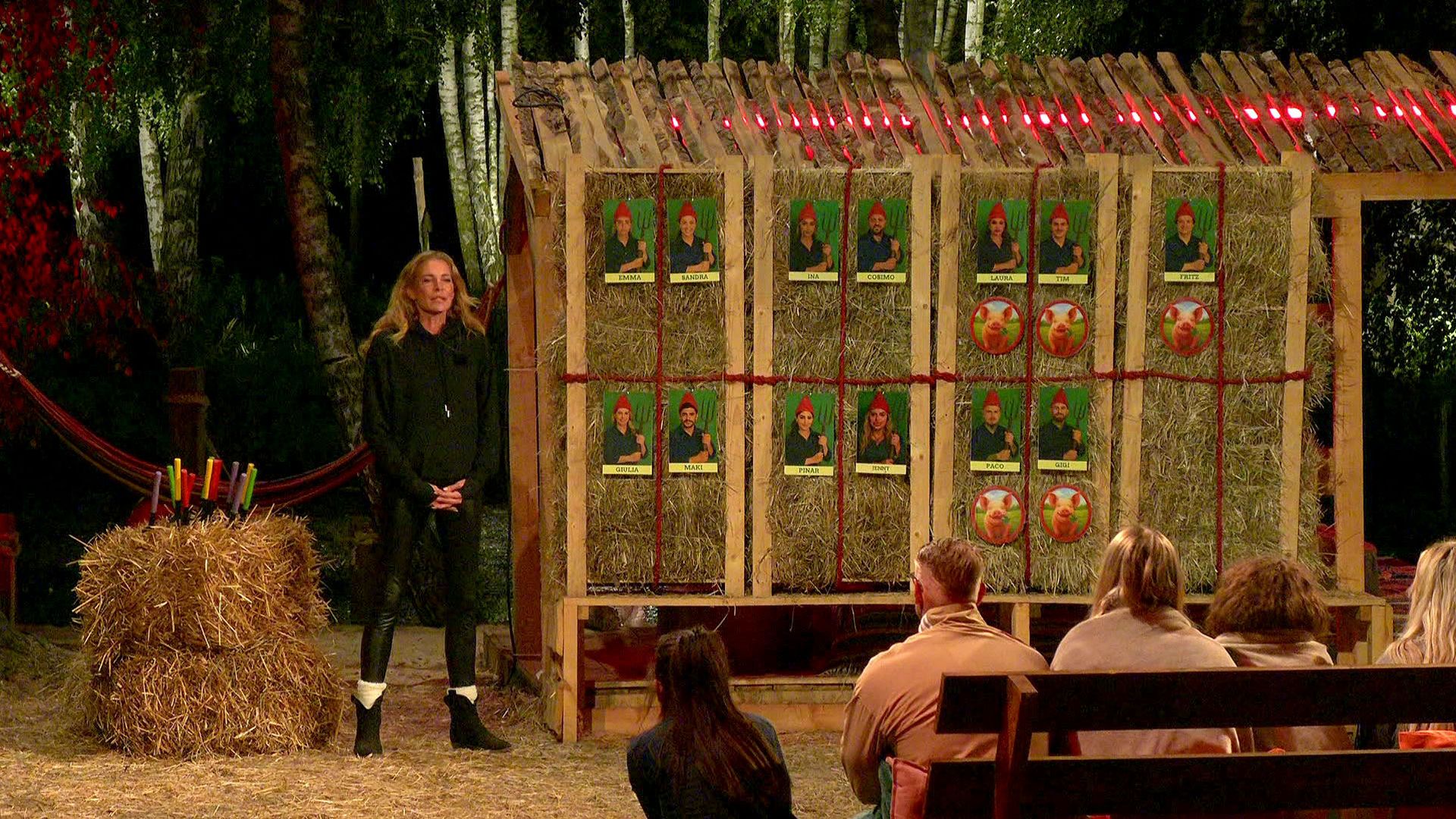 -Ist-ein-NPC-Dieser-Promihof-Teilnehmer-fliegt-vorm-Finale