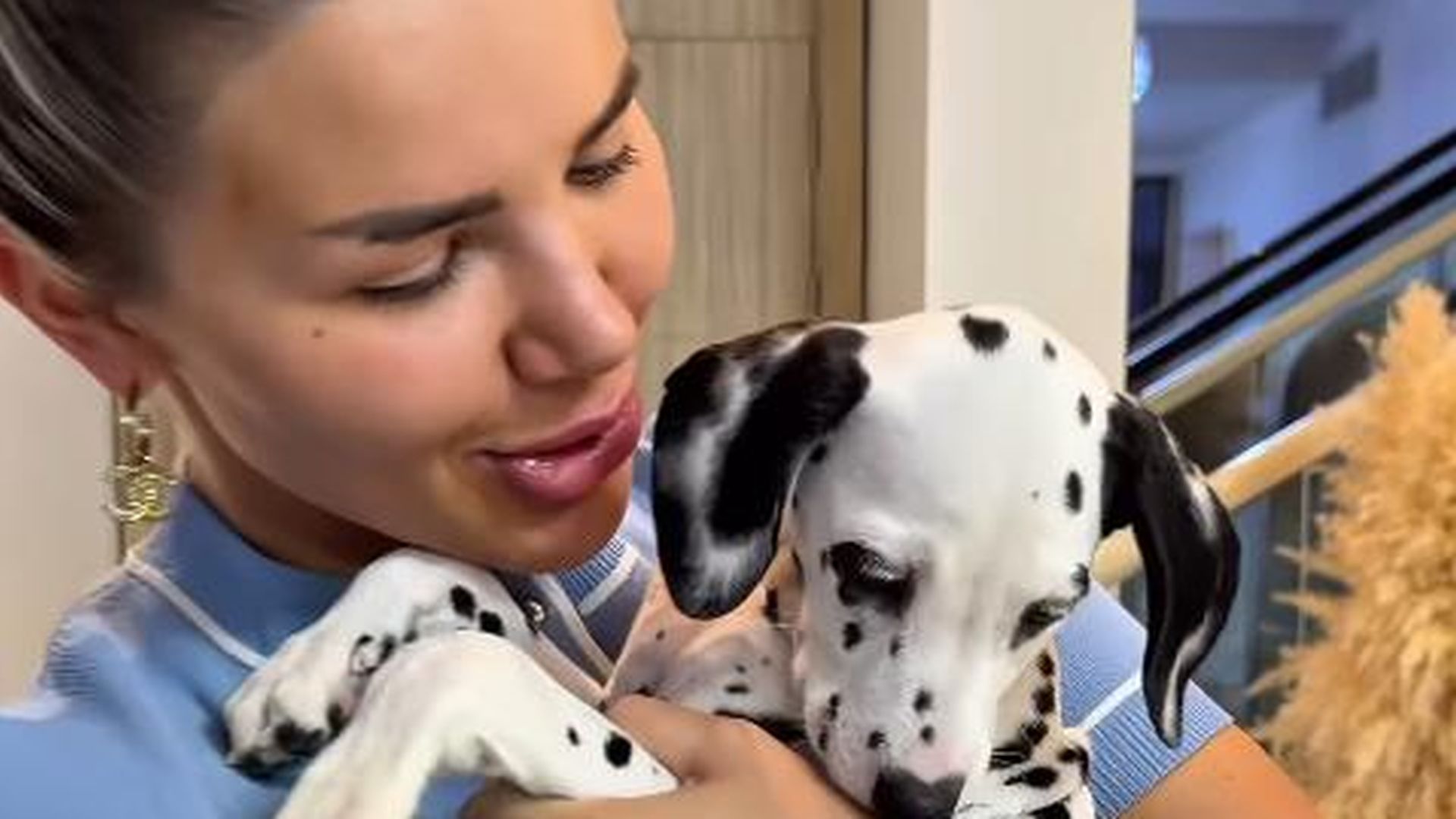 Kim-sauer-Nikola-Grey-l-sst-sie-mit-drei-Welpen-im-Stich