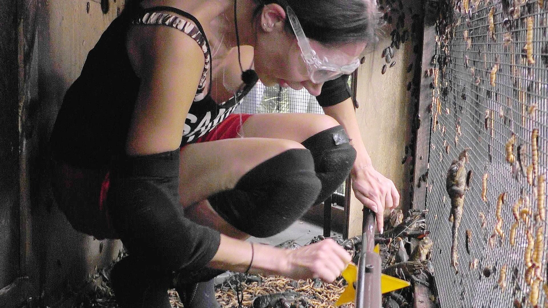 Krabbelige-Angelegenheit-Samira-stellt-sich-finaler-Pr-fung