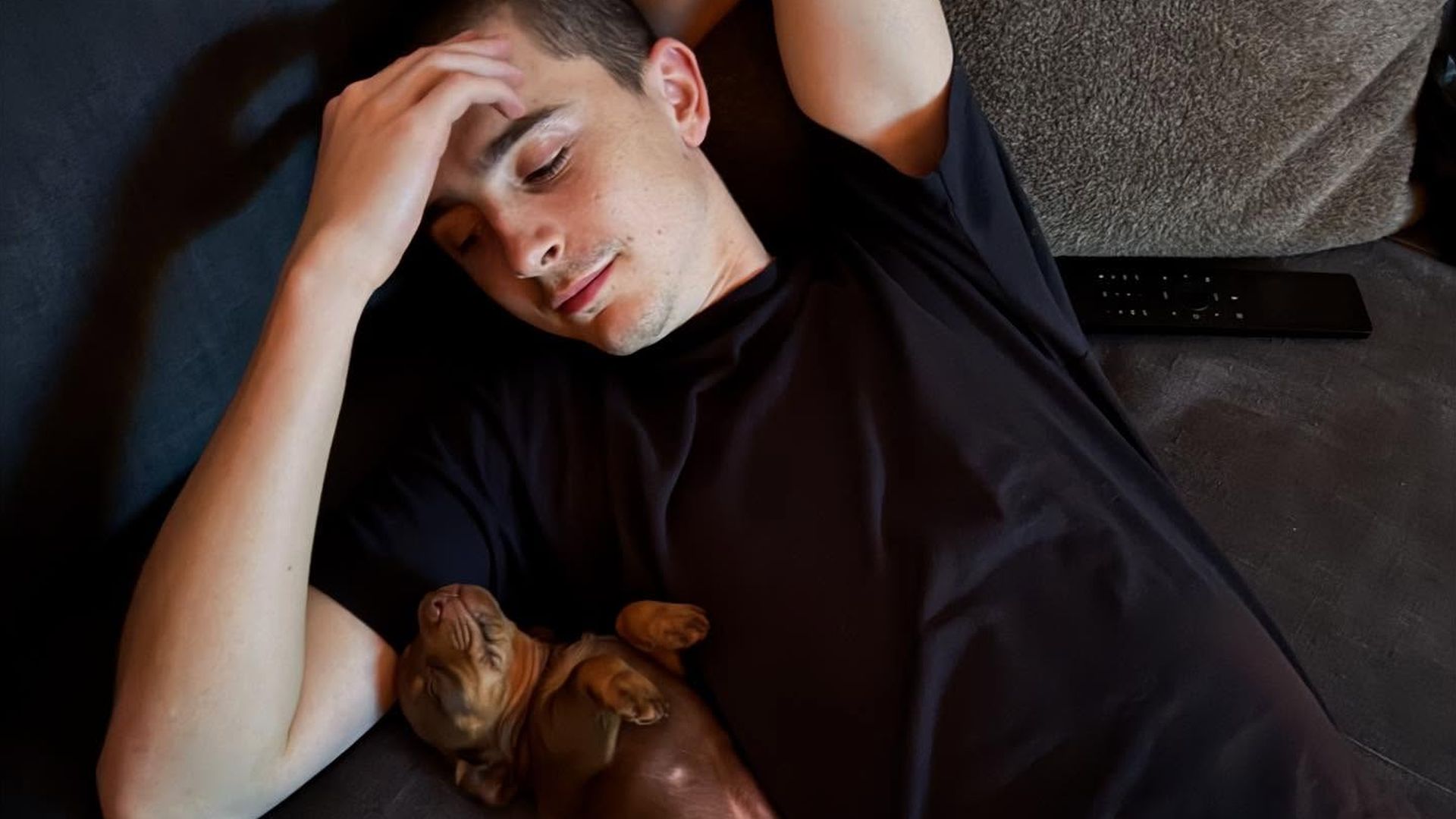 Timoth-e-Chalamet-verr-t-seine-Top-drei-Lieblingsdarsteller