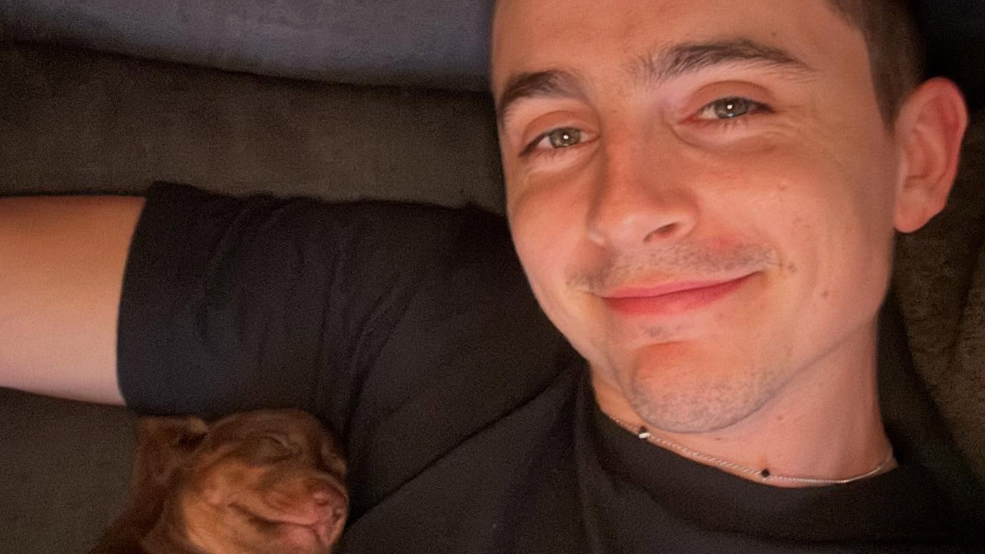 Wie-s-Timoth-e-Chalamet-legt-sich-einen-kleinen-Welpen-zu