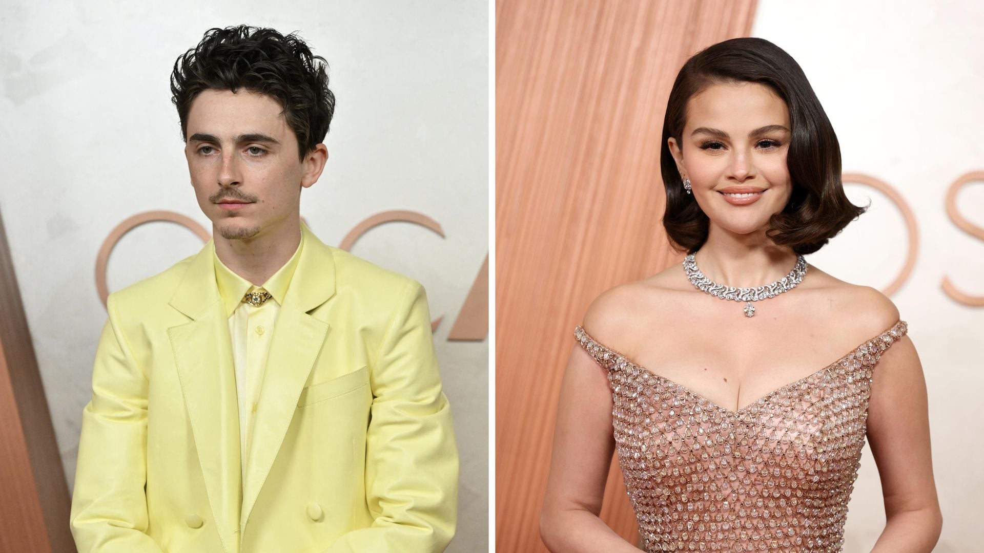 Timoth-e-Selena-Gomez-begeistern-in-neuem-Animationsfilm