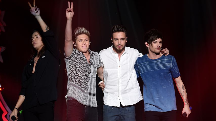 Kreisch-Alarm! Niall Horan bestätigt One-Direction-Reunion