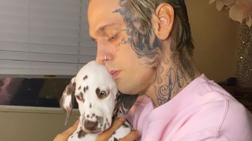 Aaron Carter mit rosafarbenen Haaren und einem Dalmatiner-Welpen Oktober 2020