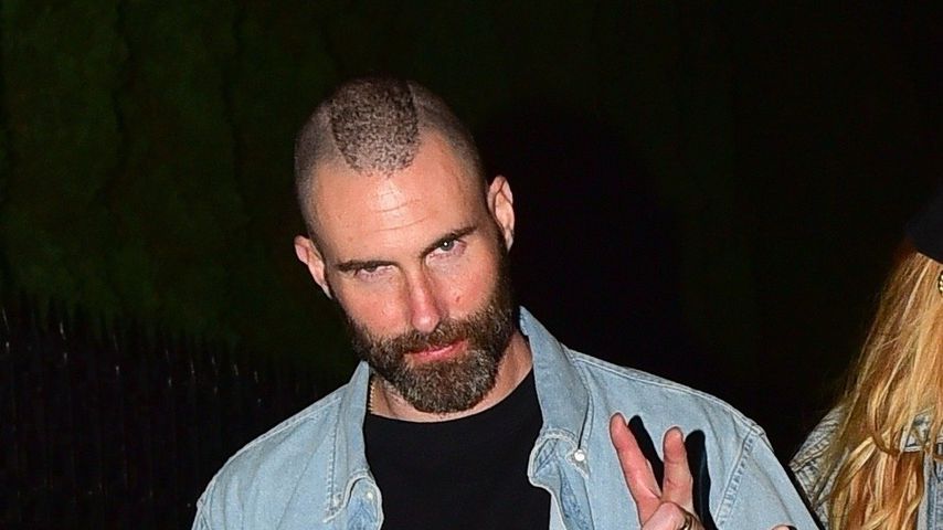 Adam Levine, Musiker