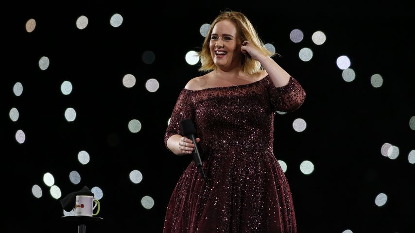 Schlagkräftig: Adele kämpft auf der Bühne mit Moskitos!
