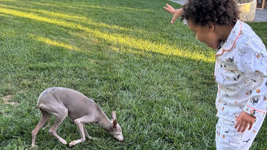 Kylie Jenners Sohn Aire mit ihrem Hund Norman