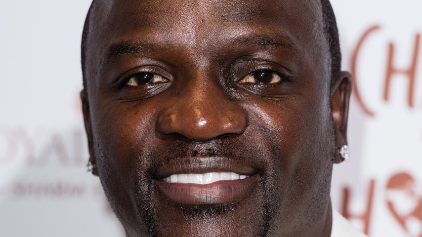 Akon, Musiker
