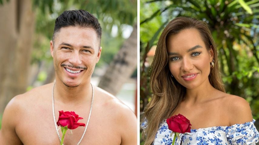 Fans finden: "Bachelor in Paradise"-Alan soll Karina nehmen