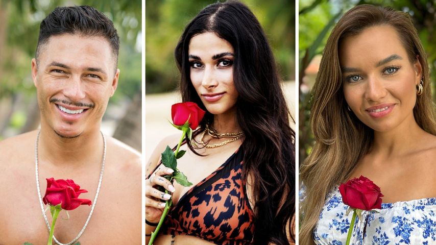 Soll "Bachelor in Paradise"-Alan Pamela oder Karina wählen?