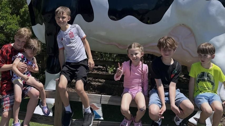 Alec und Hilaria Baldwins Kinder auf Instagram.