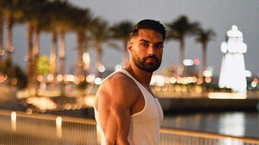 Aleks Petrovic, Influencer