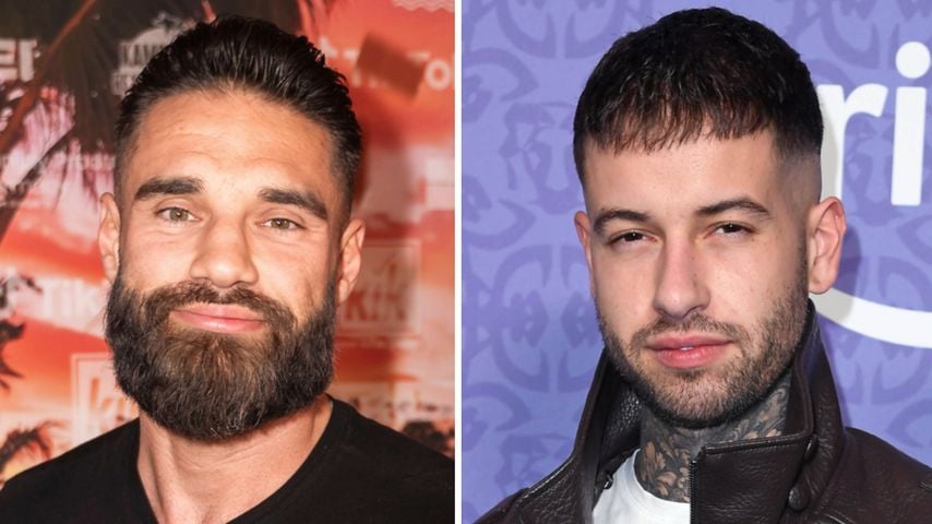 Collage: Aleks Petrovic und Marc-Robin Wenz