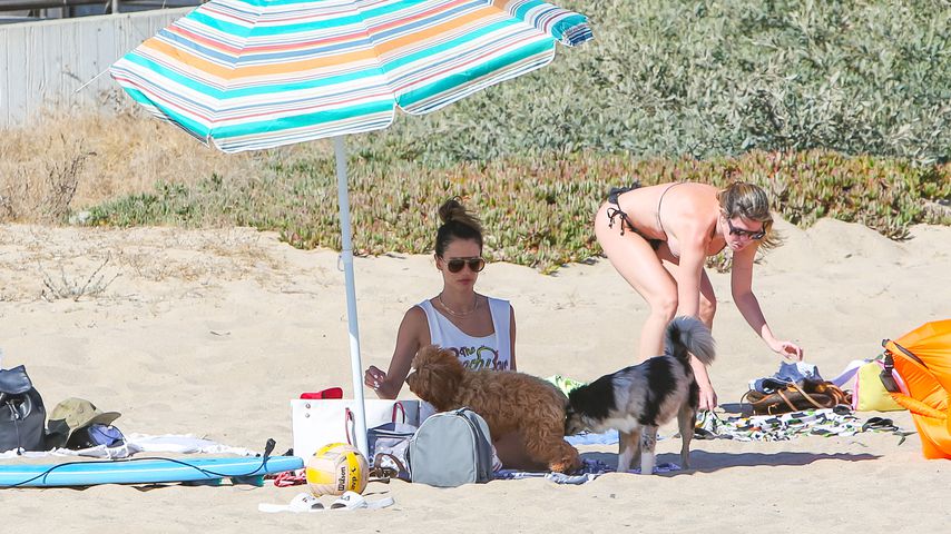 Alessandra Ambrosio, Laufstegschönheit