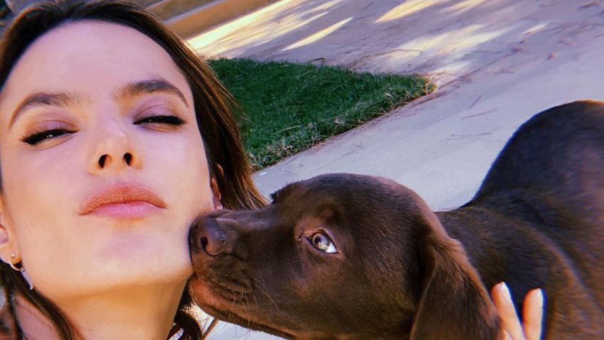 Alessandra Ambrosio mit ihrem Hund im Oktober, 2019
