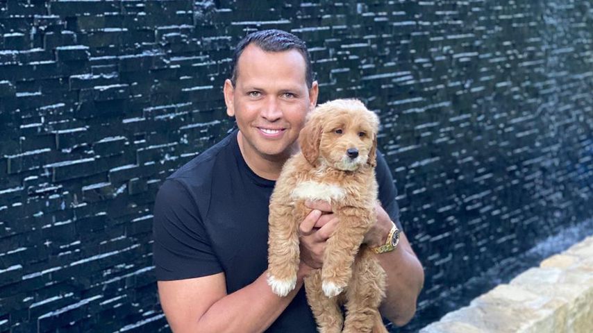 Alex Rodriguez mit dem neuen Familien-Welpen