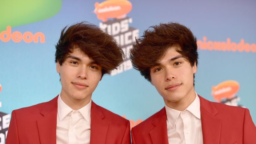 Alex und Alan Stokes, TikTok-Stars