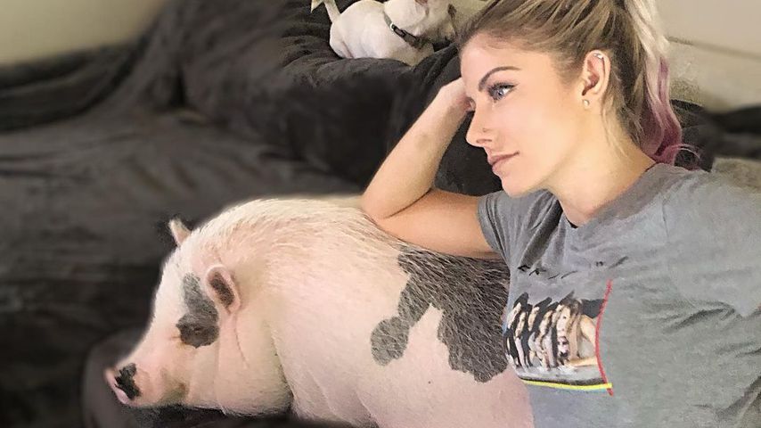 Ärzte lehnten Behandlung ab: WWE-Star trauert um Hausschwein