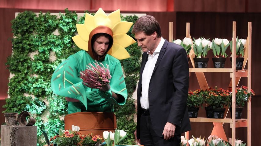 Alexander Cox und Carsten Maschmeyer bei "Die Höhle der Löwen"