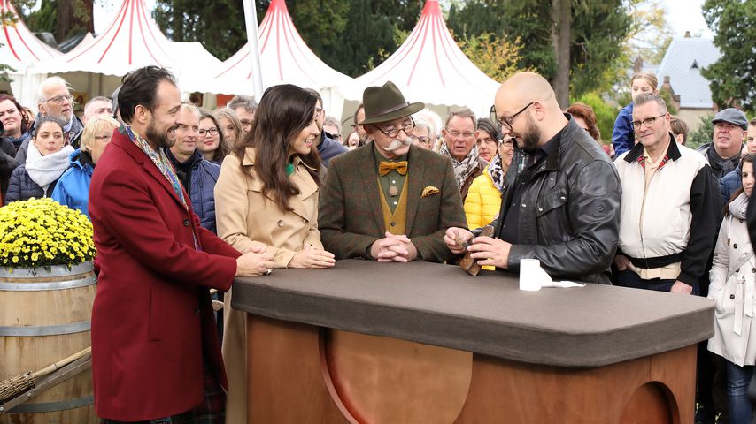 Alexander-Klaus Stecher, Judith Williams, Horst Lichter und Sven Deutschmanek bei "Bares für Rares"