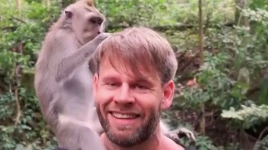 "Hochzeit auf den ersten Blick"-Alexander im Monkey Forest in Ubud