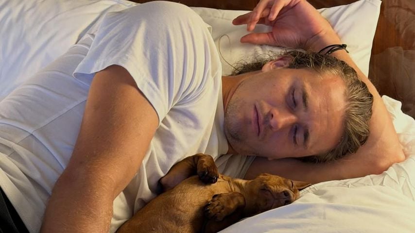 Alexander Zverev, Tennis-Profi