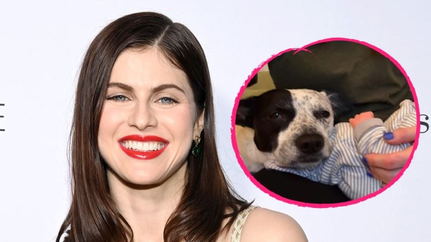 Alexandra Daddario teilt Einblicke in ihr junges Mutterglück