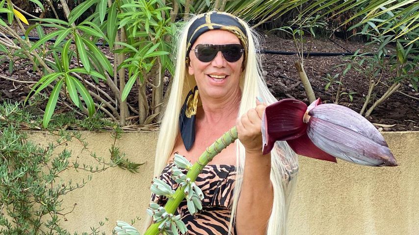 Alicia King, 2020