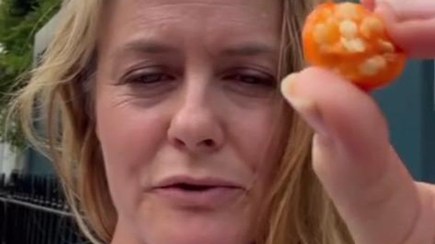 Grund zur Sorge? Alicia Silverstone isst eine giftige Beere