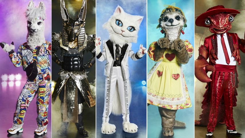 Collage: Alpaka, Anubis, Katze, Erdmännchen und Hummer, "The Masked Singer"-Kostüme